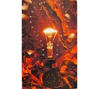 The Big Idea [Import]