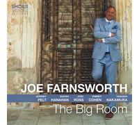 The Big Room / Joe Farnsworth