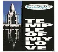 THE BIG SKIP - Temple of My Love [Import]