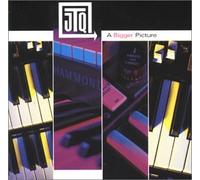 The Bigger Picture [Import]