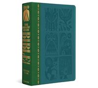 The Biggest Story Bible Storybook