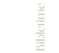 The Bilble reading guide: write daily about what you read in your bible