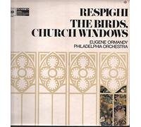 The Birds / Church Windows