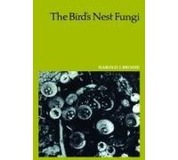 The Bird's Nest Fungi