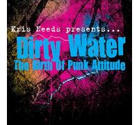 The Birth of Punk Attitude