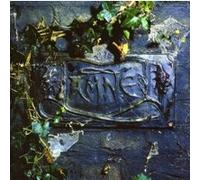 The Black Album Vinyle