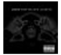 The black album G