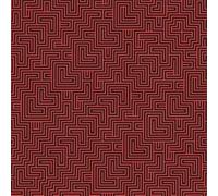 The Black Angels - Wilderness of Mirrors [Import]