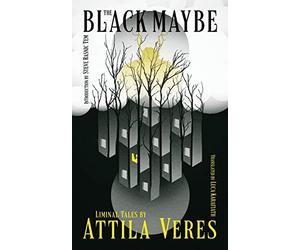 The Black Maybe: Liminal Tales