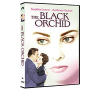 The Black Orchid [Dvd]