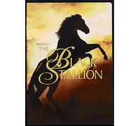 L'étalon noir – DVD – Zone 1 – Import USA