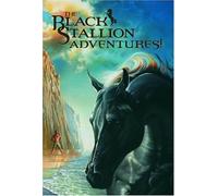 The Black Stallion Adventures! 4 Volume Boxed Set comprising The Black Stallion, The Black Stallion Returns, The Black Stallion?s Ghost, The Black Stallion Revolts by Walter Farley (11-Oct-2005) Paperback