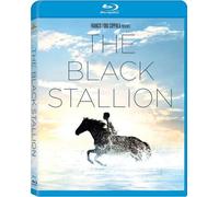 The Black Stallion [Blu-Ray]