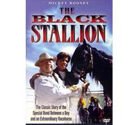 The Black Stallion by Mickey Rooney