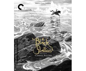 The Black Stallion (Criterion Collection) [Blu-Ray]