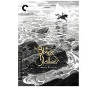 The Black Stallion (Criterion Collection) [Dvd]
