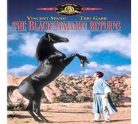 The Black Stallion Returns