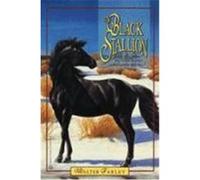 The Black Stallion Walter Farley (Auteur)