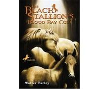 The Black Stallion's Blood Bay Colt, Bullseye Books Walter Farley (Auteur)