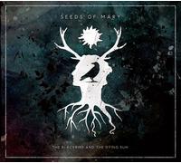 The Blackbird And The Dying Sun