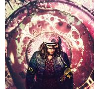 The Blank Tapes - Geodesic Dome Piece