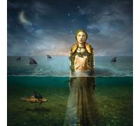 The Bled - Found In The Flood [Vinyl] Ltd Ed