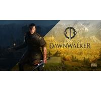 The Blood of Dawnwalker (Steam Account)