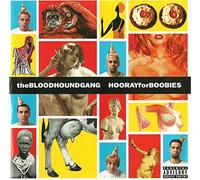 The Bloodhoundgang - in long Comes Mary