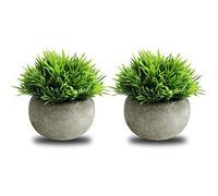 The Bloom Times 2 Pcs Faux Plantes pour Salle De Bains/Décor De Bureau À Domicile, Petite Fausse Verdure Artificielle pour Décorations De Maison
