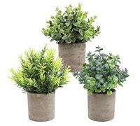 The Bloom Times Lot de 3 Petites Plantes artificielles en Pot en Plastique Faux Verdure Faux Plantes dans des Pots pour Rustique Maison Bureau Bureau Ferme Salle de Bain Cuisine intérieur décor