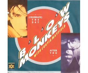 The Blow Monkeys - Celebrate-The Day After You/Beautiful Girl [Import]