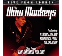 The Blow Monkeys – Live from the Camden Palace – CD
