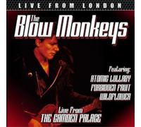 Live from The Camden Palace