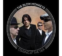 THE BLOW MONKEYS - STARING AT THE SEA CD NEUF