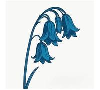 The Bluebells - This Is The Bluebells [Compact Discs] Uk - Import