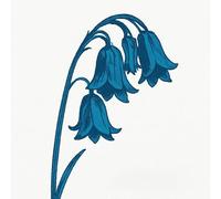 The Bluebells - This Is The Bluebells [Vinilo]