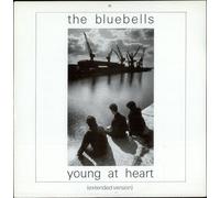 The Bluebells Young At Heart 1984 UK 12" vinyl LONX49