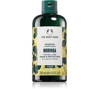 The Body Shop Moringa Shampoo shampoing 250 ml