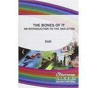 The Bones Of It