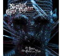 Nicolas Cage Fighter – The Bones That Grew From Pain – Vinyle 33 tours – Sony