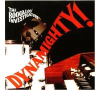 The Boogaloo Investigators - Dynamighty