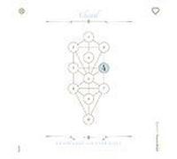 The Book Beri¿Ah Vol. 4 Chesed