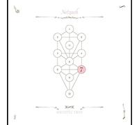 The Book Beri'Ah Vol 7 Netzach