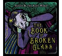 The Book Of Broken Glass