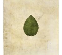 Boxer Rebellion,the - The Cold Still (Green Swirled Vinyl LP) [Import]