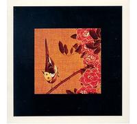 The Boy and the Tree [IMPORT]