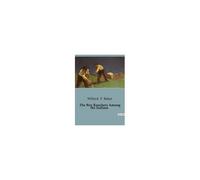 The Boy Ranchers Among The Indians