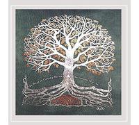 The Boys of County Bucks - Go Meadai Dia THU