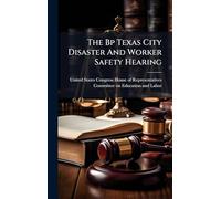 The Bp Texas City Disaster And Worker Safety Hearing