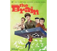 The Brain
